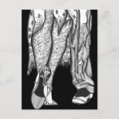 Tango用に2つ ポストカード (正面)