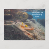 Tank & Marine Marvel：サイパンの物語 ポストカード (正面)