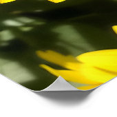 Tansy Rosenweedポスター ポスター (角)