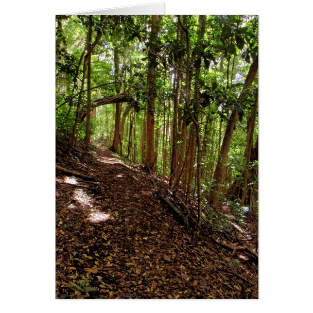 Tantalusのハイキングコース (正面)