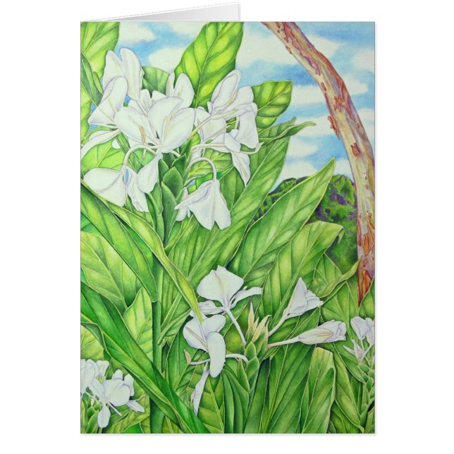 Tantalusの白のショウガ (正面)