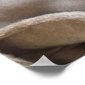 Tao of Love - Two Sphynx Cats パーソナライズされた(タオ・オブ・ラブ) ポスター (角)