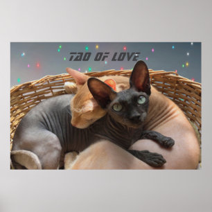 Tao of Love - Two Sphynx Cats パーソナライズされた(タオ・オブ・ラブ) ポスター