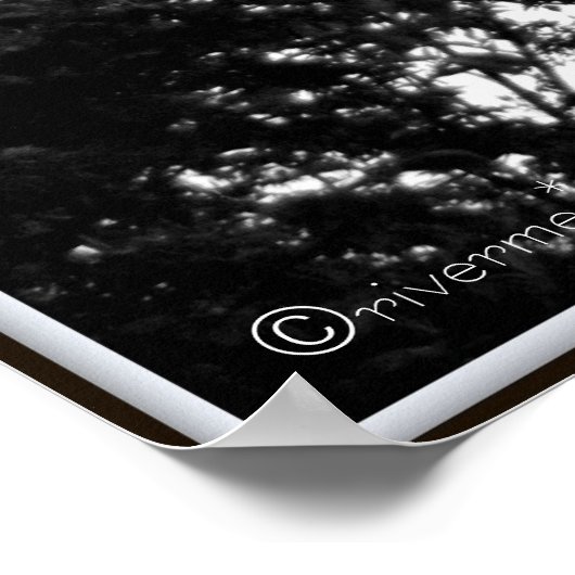 Tao Te Ching/Sunset Tree B&W写真 ポスター (角)