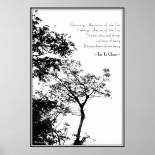 Tao Te Ching/Sunset Tree B&W写真 ポスター