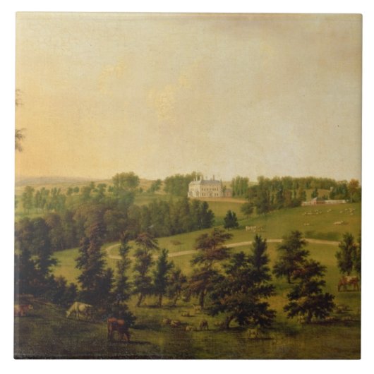 Tapeley公園、Instow、北のデボンの眺め タイル (正面)