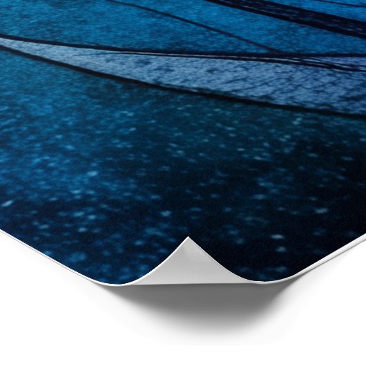 tapices ポスター (角)