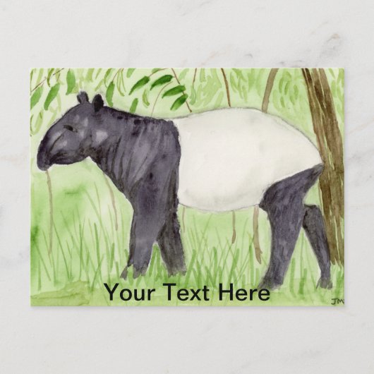Tapir ポストカード (正面)