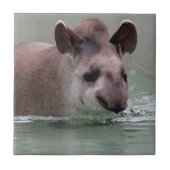 Tapir_2015_0101 タイル (正面)