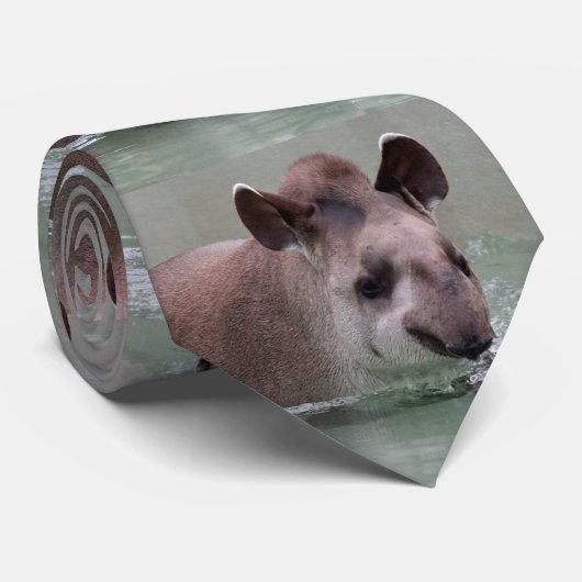 Tapir_2015_0101 ネクタイ (ロール)