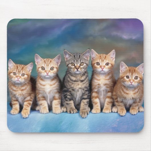 tapis de souris chats マウスパッド (正面)