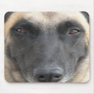 tapis de souris malinois マウスパッド