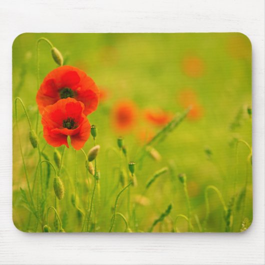 Tapis de souris, Printemps et fleurs de coquelicot マウスパッド (正面)