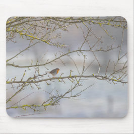 Tapis de souris rouge-gorge マウスパッド