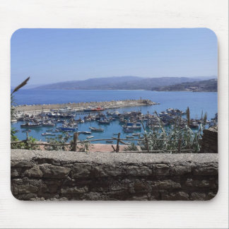 Tapis d'été pour souris マウスパッド