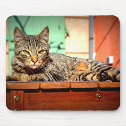 Tapis souris chat tigré sur une table de jardin マウスパッド (正面)