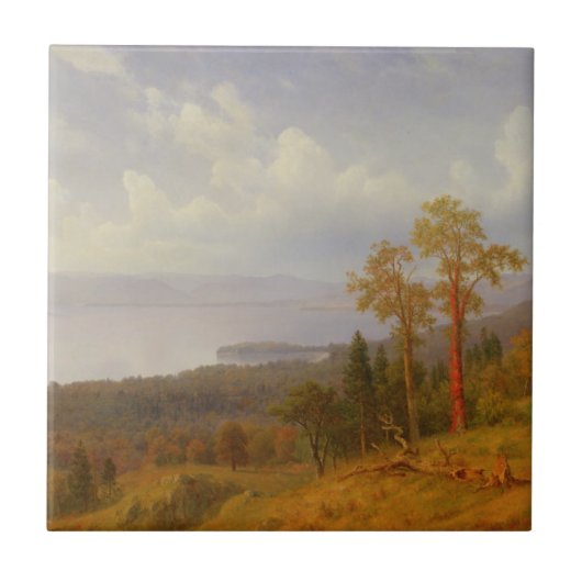 Tappen Zeeを渡って見るハドソンの眺め タイル (正面)