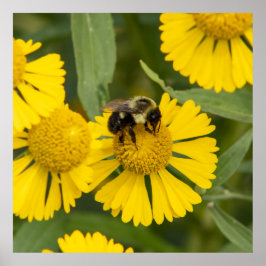 Tapping In ポスター