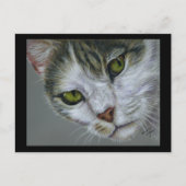 Tara - Cat Art ポストカード (正面)