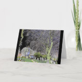  Tara Hill墓地 カード (正面)