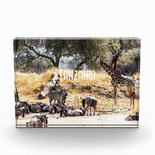 Tarangire National Park フォトブロック (正面)