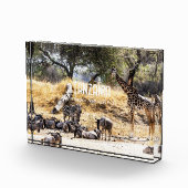 Tarangire National Park フォトブロック (右)