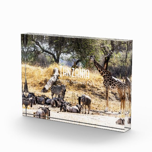 Tarangire National Park フォトブロック (右)