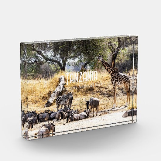 Tarangire National Park フォトブロック (左)