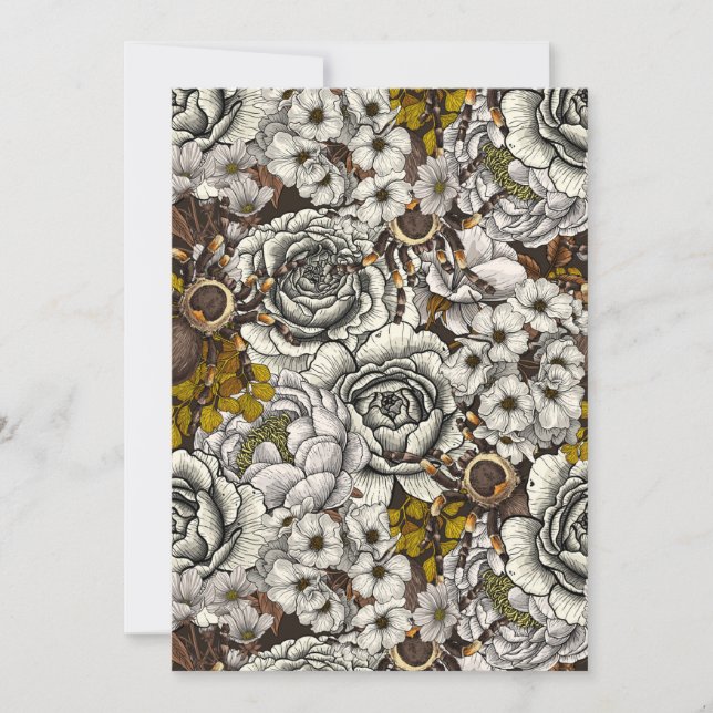 Tarantula garden 2 (正面)