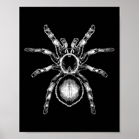 Tarantula Huge Spider Phobia Halloween Costume Ara ポスター (正面)