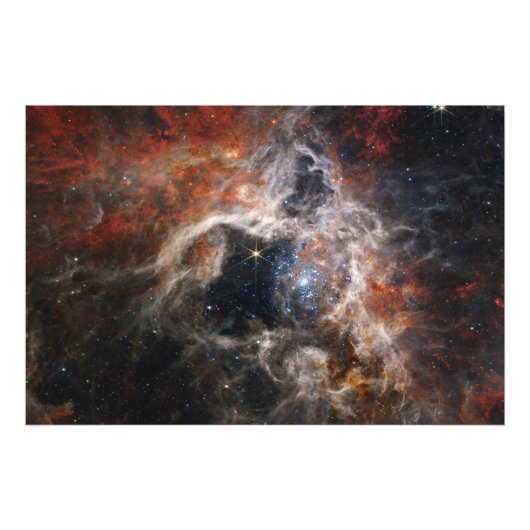 Tarantula Nebula James Webb telescope nasa stars s フォトプリント (正面)