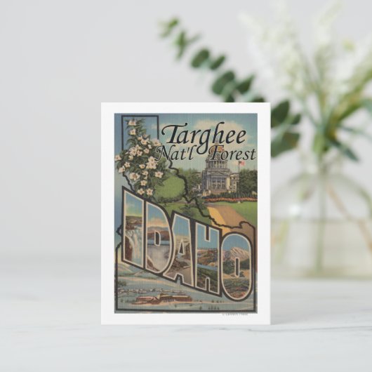 Targhee Nat'l Forest, Idaho - Large Letter Scene ポストカード (スタンド正面)