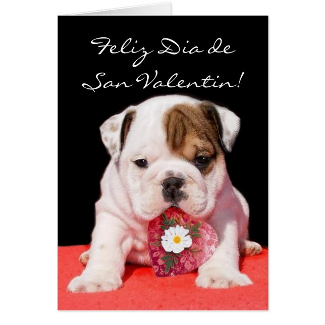 Tarjeta deサンValentinの詐欺のcachorroのブルドッグ (正面)