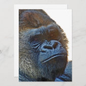 Tarjeta de agradecimiento con Gorila 招待状 (正面/裏面)