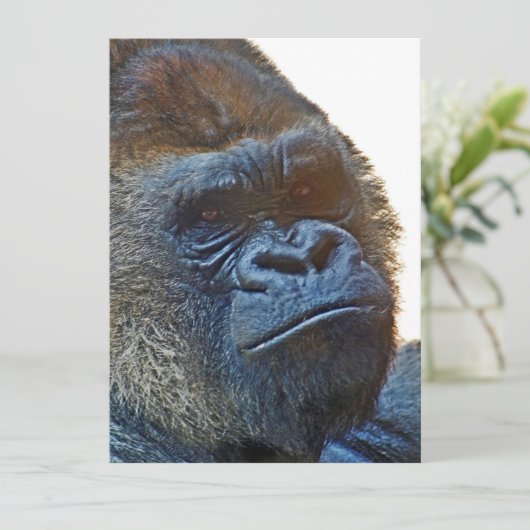 Tarjeta de agradecimiento con Gorila 招待状 (スタンド正面)