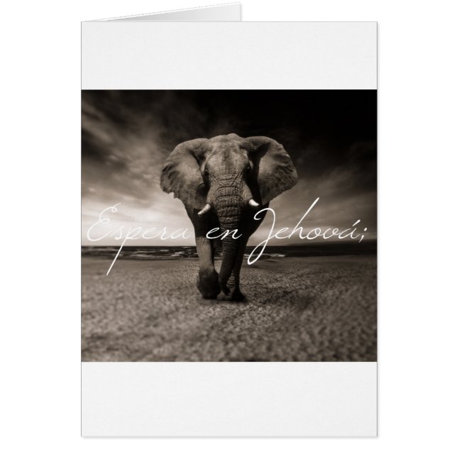 Tarjeta de Animoo JWcard (正面)