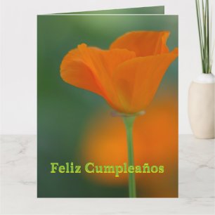 Tarjeta - Feliz Cumpleaños Todasのルクスen色 カード