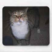 Tarna マウスパッド (正面)