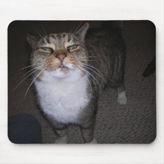 Tarna マウスパッド (正面)