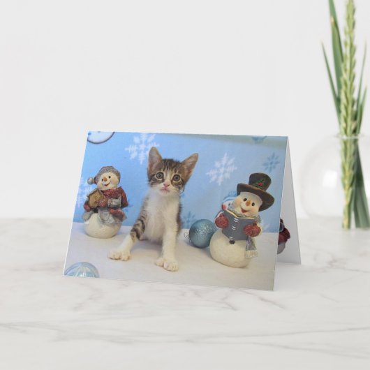 Tarominaと雪だるま- Cat Christmas Card シーズンカード (正面)