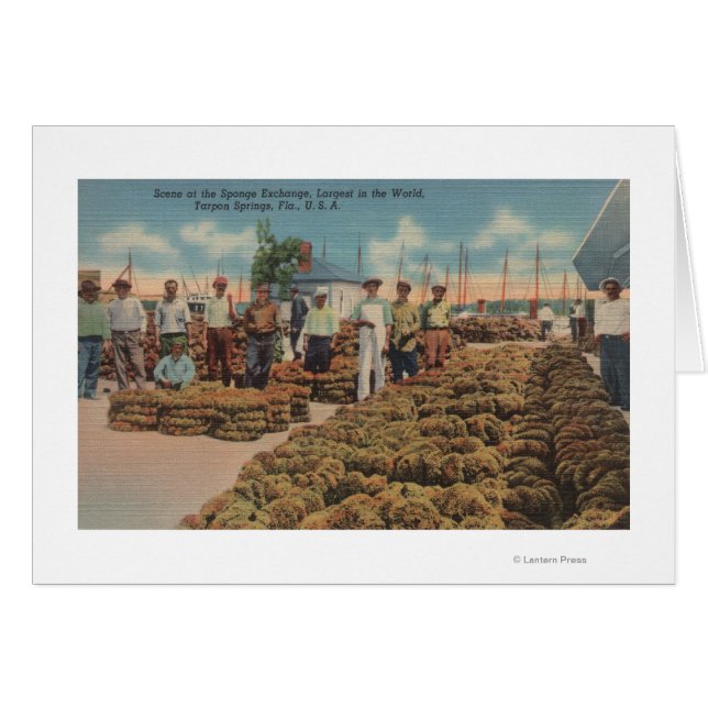 Tarpon春, FL – スポンジ交換のシーン (正面横)