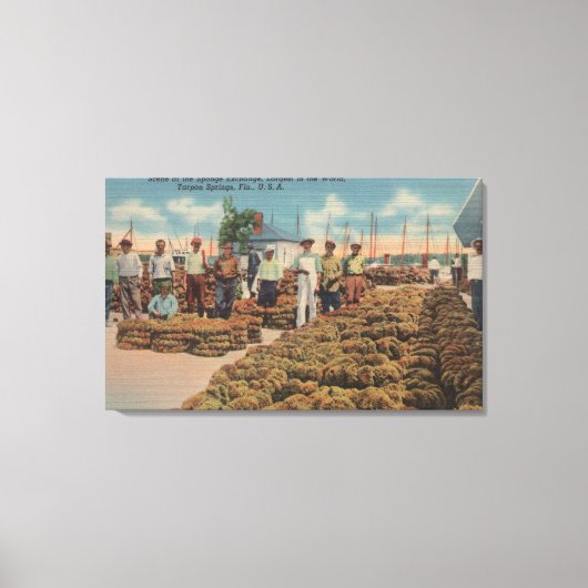 Tarpon春, FL – スポンジ交換のシーン キャンバスプリント (正面)