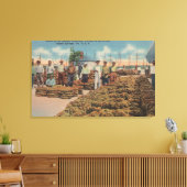 Tarpon春, FL – スポンジ交換のシーン キャンバスプリント (インサイチュ (リビング))