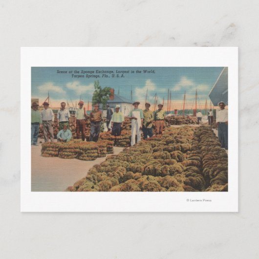 Tarpon春, FL – スポンジ交換のシーン ポストカード (正面)
