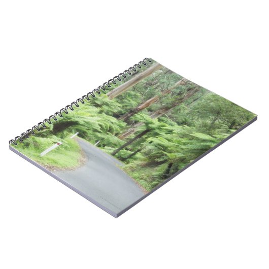 Tarra Bulgaの国立公園、Strzeleckiの範囲 ノートブック (左側)