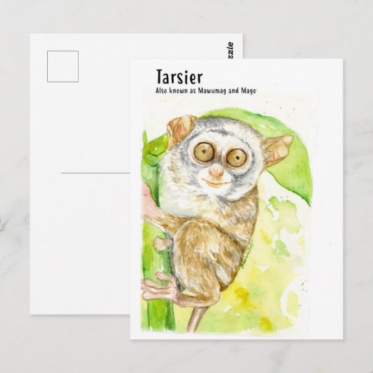 Tarsier- DNMはがき ポストカード (正面/裏面)
