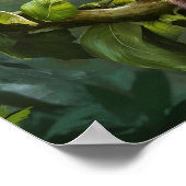 Tarsius Syrichta：ナチュラルジャングルのTarsier Monkey ポスター (角)