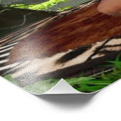 TARZANAシザーズルアナ#3 フォトプリント            (角)