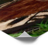 TARZANAシザーズルアナ#3 ポスター (角)