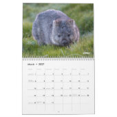 Tasmaniaオーストラリア旅行写真を発見 カレンダー (3月 2027)